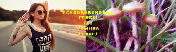 ГАЛЛЮЦИНОГЕННЫЕ ГРИБЫ Алзамай