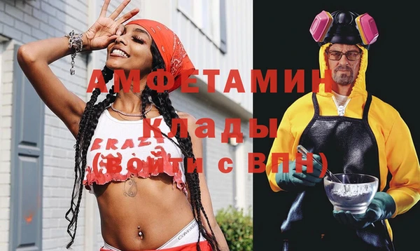 ГАЛЛЮЦИНОГЕННЫЕ ГРИБЫ Алзамай
