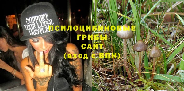 ГАЛЛЮЦИНОГЕННЫЕ ГРИБЫ Алзамай