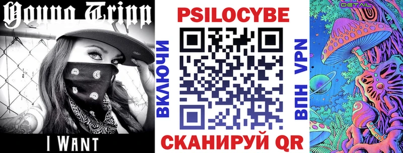 закладка Юрьев-Польский Галлюциногенные грибы Psilocybine cubensis